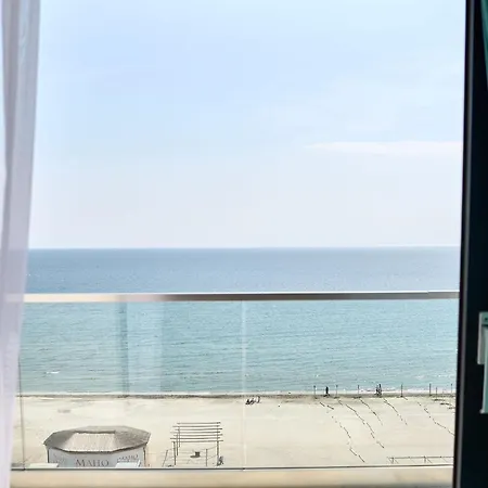 Seagull In Infinity - Parking