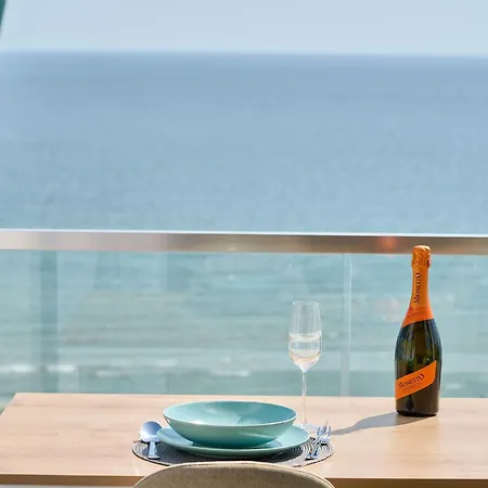 Seagull In Infinity - Parking * Mamaia