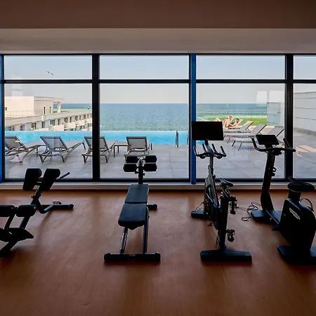 Seagull In Infinity - Parking *