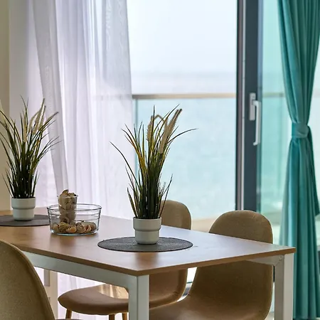 Seagull In Infinity - Parking 마마이아