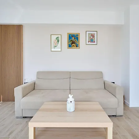 Seagull In Infinity - Parking *